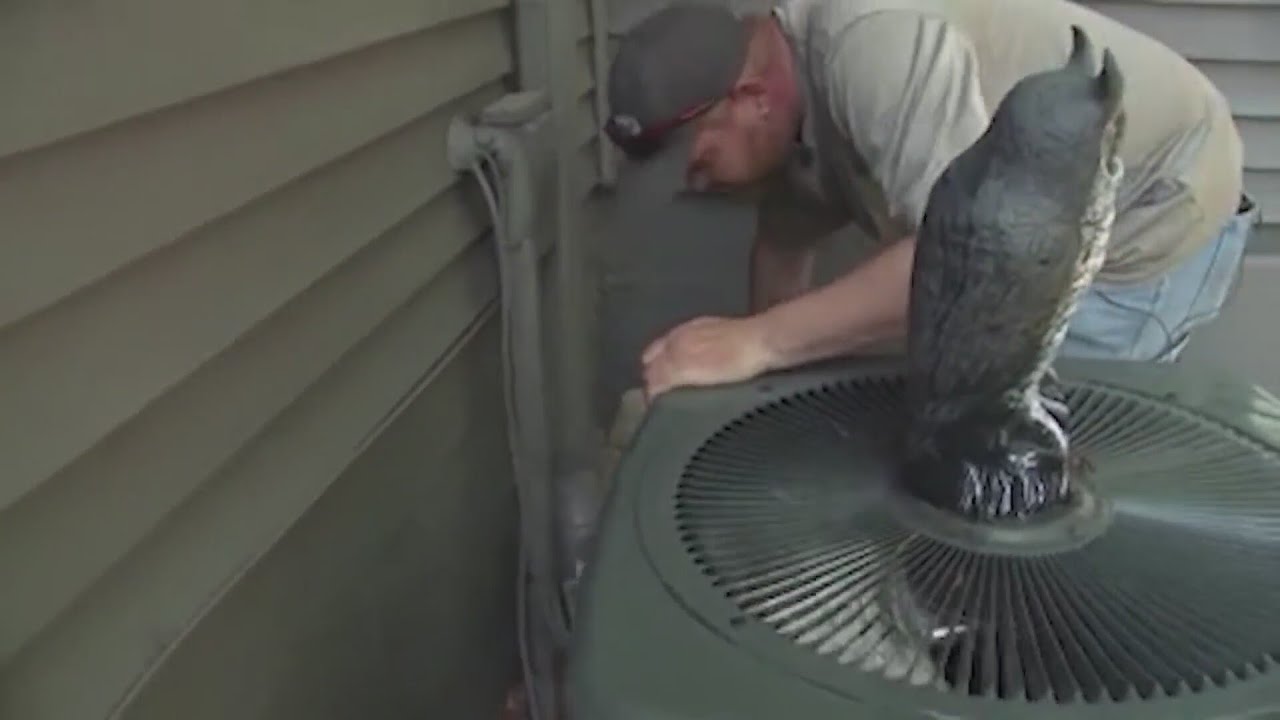 Being prepared as dangerous heat wave hits Kansas City metro this weekend