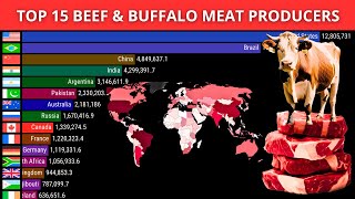 Top 15 Beef and Buffalo meat production countries | UNIT tonnes