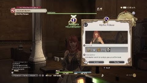 FINAL FANTASY XIV: A Realm Reborn - Miner