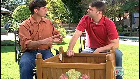 Four Season Planters