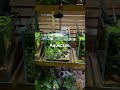 #aquascape #aquarium #aquariumfish #nature