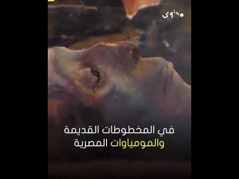 اكتشاف علمي ثوري قادر على قلب معادلة السرطان وهزيمته أما عن البطل المنقذ فسيكون جهاز الإنسان