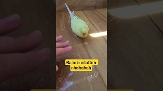 Balkonda Suyla Oynarken Balımla Komik Diyaloğumuz Şu