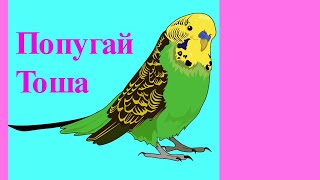 Урок музыки для попугая Тоши//Волнистый попугай//Птицы Урок музыки для попугая Тоши//Волнистый попугай//Птицы
