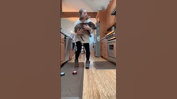 Pet Pig Using Interactive Buttons