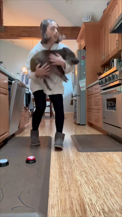 Pet Pig Using Interactive Buttons