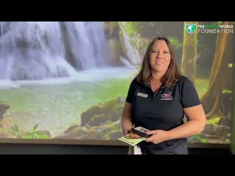The Perfect World Foundation - Monarch butterfly