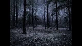 Lifelover - Ms Salmonella (Depressive Black Metal)