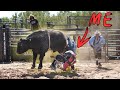 Riding a BULL for 1M Subscribers... (STOMPED)
