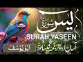 Surah Yasin | Surat Yaseen with Urdu Translation | Quran Tilawat Beautiful Voice | By: Abu Yusuf 