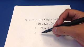 fourth grade - using distributive property to multiply whol