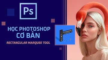 🎨 Học Photoshop Cơ Bản | Cách Dùng Rectangular Marquee Tool Từng Bước Cho Thiết Kế Đồ Họa ✨