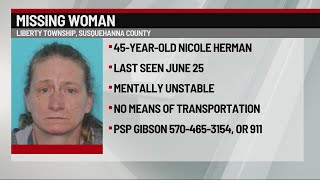 State troopers searching for missing woman | 28/22 News