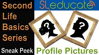 Second Life profile pictures (Firestorm viewer).Module 4.4 DEMO!
