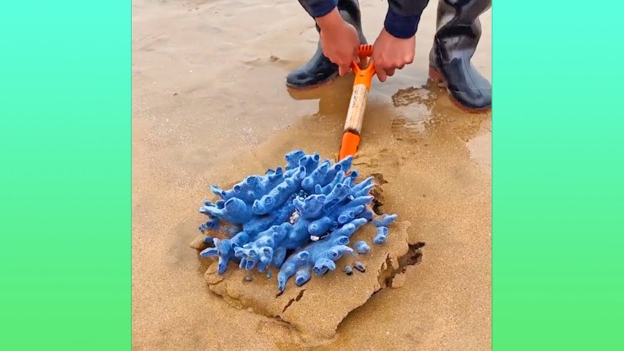 Best Oddly Satisfying Video for Sleep & Relaxation - YouTube