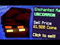 5 ways to get coins FAST in Hypixel SkyBlock | Tutorial and Guide