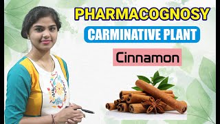 Cinnamon Pharmacognosy | Carminative Plant(Chapter-5) | D. Pharm ER20-13T