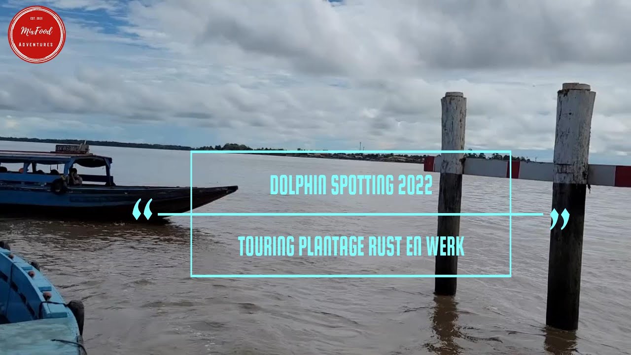 DOLPHIN SPOTTING AND TOURING PLANTAGE RUST EN WERK.  SURINAME 2022.