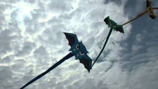 Vamp Devil squadron - Quad