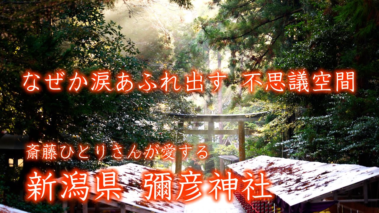 なぜか涙があふれる不思議空間　斎藤ひとりさんが愛する新潟県 彌彦神社