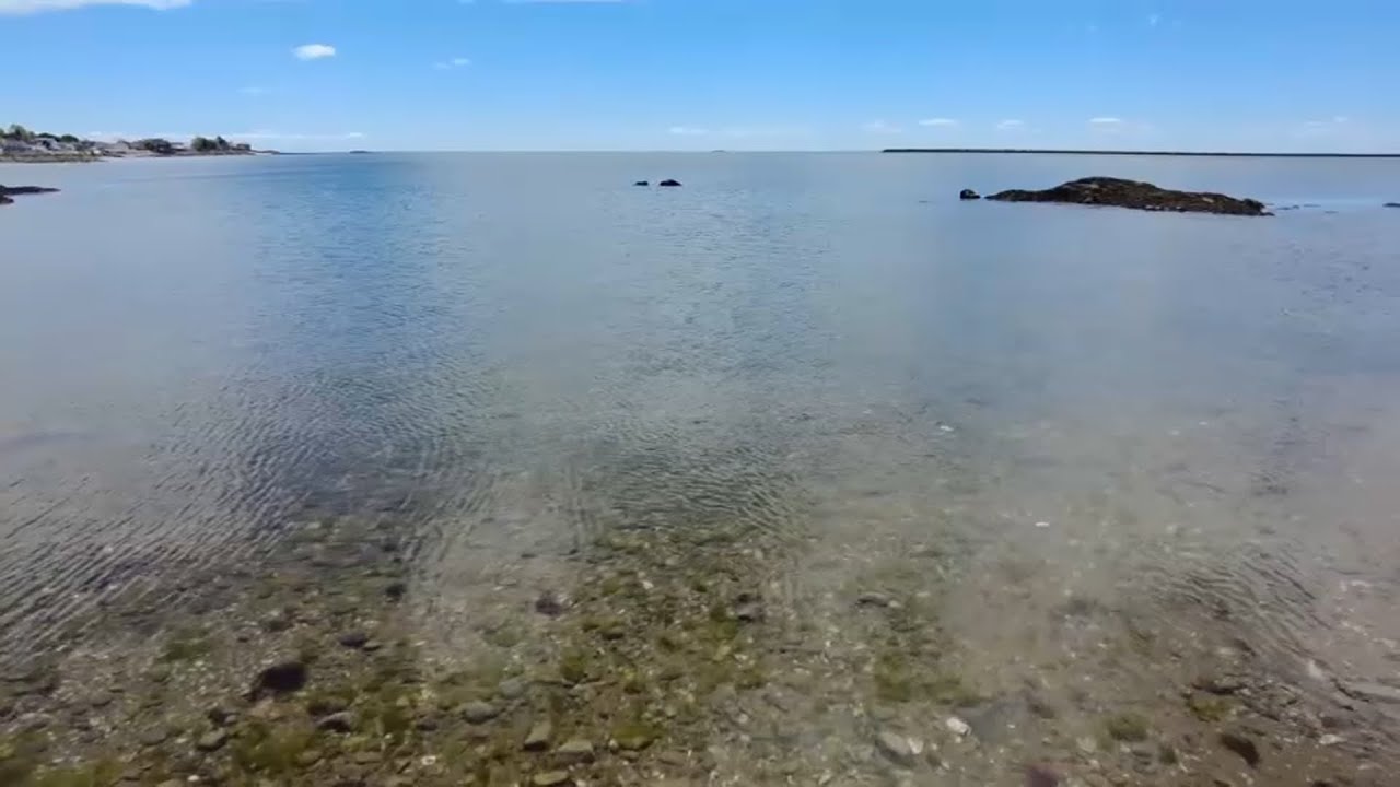 Beach health report card shows several Connecticut beaches getting passing grades