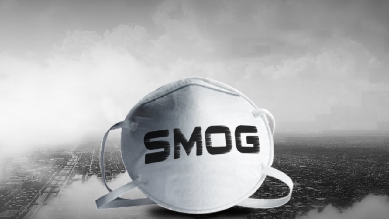 World Insight Smog Special: Petcoke a big pollutant?