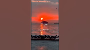 #قران_كريم #راحة_نفسية سوره الدخان من 1 الى 7 تلاوه الشيخ ياسر الدوسري طلب متابعه😁