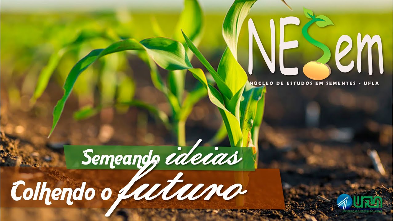 O que é o NESem? - YouTube