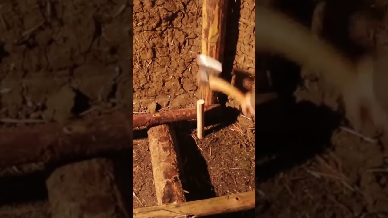 How To Build A Survival Bed  