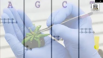 HSC ICT Chapter 1 (Bioinformatics & Genetic Engineering)