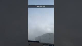Qatar Low Visibility Due to High Humidity 🌫️ | Doha Weather Update #qatar  #raslaffan #doha