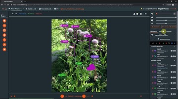 Annotation item display controllers, zoom, opacity, contrast | Dataloop.ai