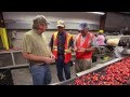 Washington Cherry Harvest - America's Heartland