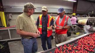 Washington Cherry Harvest - America's Heartland