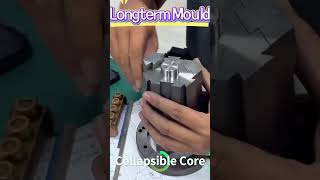 High Precision Custom Mold Component/Insert