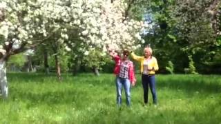 Підгорецький замок(, 2014-06-16T19:18:24.000Z)