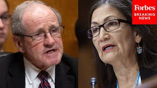 'Just Answer The Question': Risch Bluntly Tells Haaland To Answer His Question On BLM