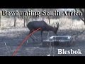 Blesbok arrowed in South Africa on Plains Game Safari bow hunt African style IMPACT