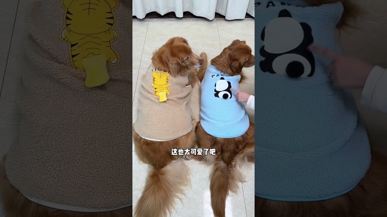 Эта трехмерная одежда в узоре красива и весела. Когда становится холодно,