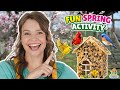 Spring Backyard Adventure for Kids 🌿 Making a Bird Feeder w/ Silly Miss Lily 🐦 Fun Learning Activity