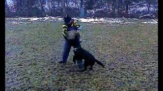 GAJA AD-GUR trening-zadrzanie.. :)