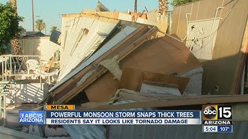 Powerful monsoon snaps trees, take poles down, damage homes