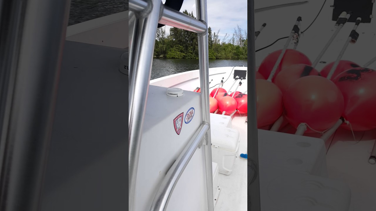 Mike Turek/Matt Bogle Buoy Swordfishing