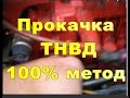 Прокачка ТНВД 100% РЕЗУЛЬТАТ