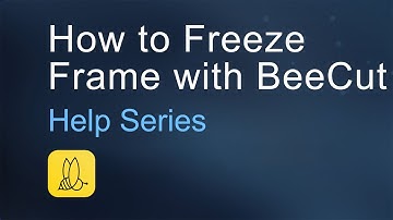 How to Freeze Frame with BeeCut