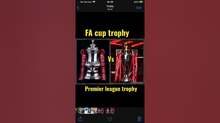 FA cup trophy or premier league trophy