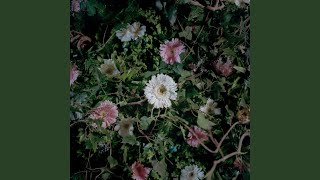 Download Lagu alto il mento MP3