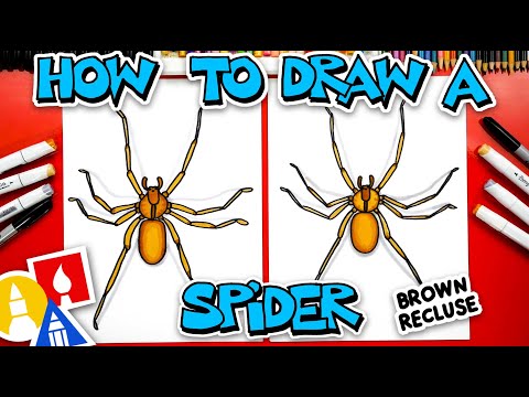 How To Draw A Spider Brown Recluse
