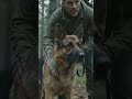 alien encounter in woods#mountains #trending #treval #dog.#viral #viralvideo #alieninvasion