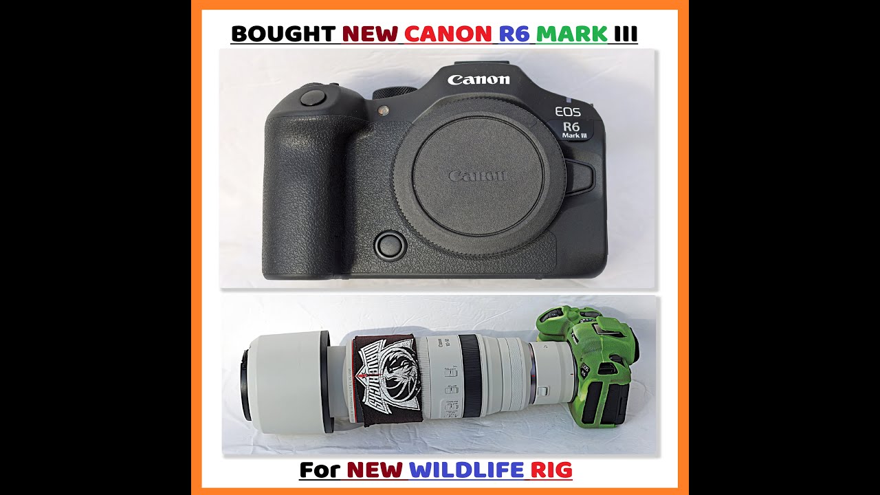 Bought NEW Canon R6 Mark III for my Ultimate Wildlife Rig! - YouTube